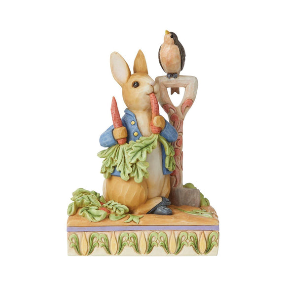 Jim Shore Peter Rabbit In Garden