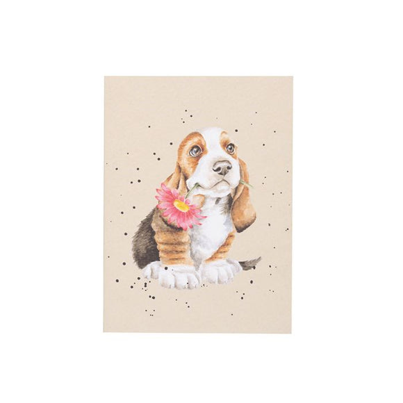 *Just for You* Small Bassett Hound Notebook