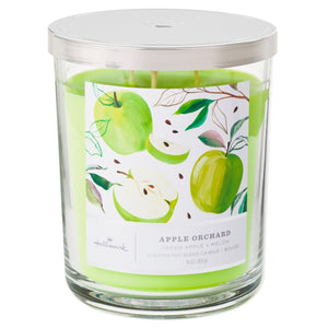 Hallmark Apple Orchard 3-Wick Jar Candle, 16 oz.