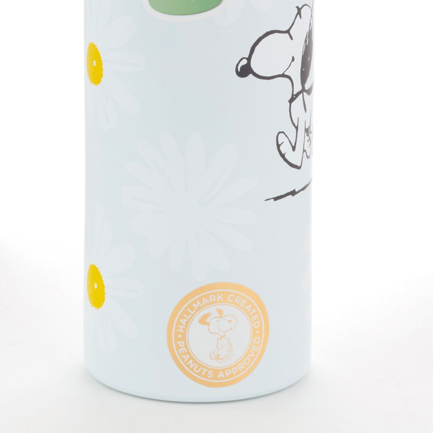 Hallmark Peanuts® Snoopy Daisies Color-Changing Water Bottle, 24