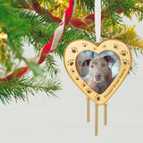 Hallmark Forever Friend Metal Photo Frame Pet Memorial Ornament
